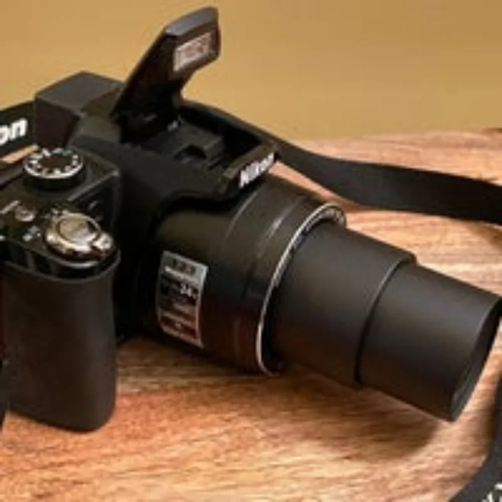 Nikon Coolpix P90 12.1MP Black Bridge Digital Camera